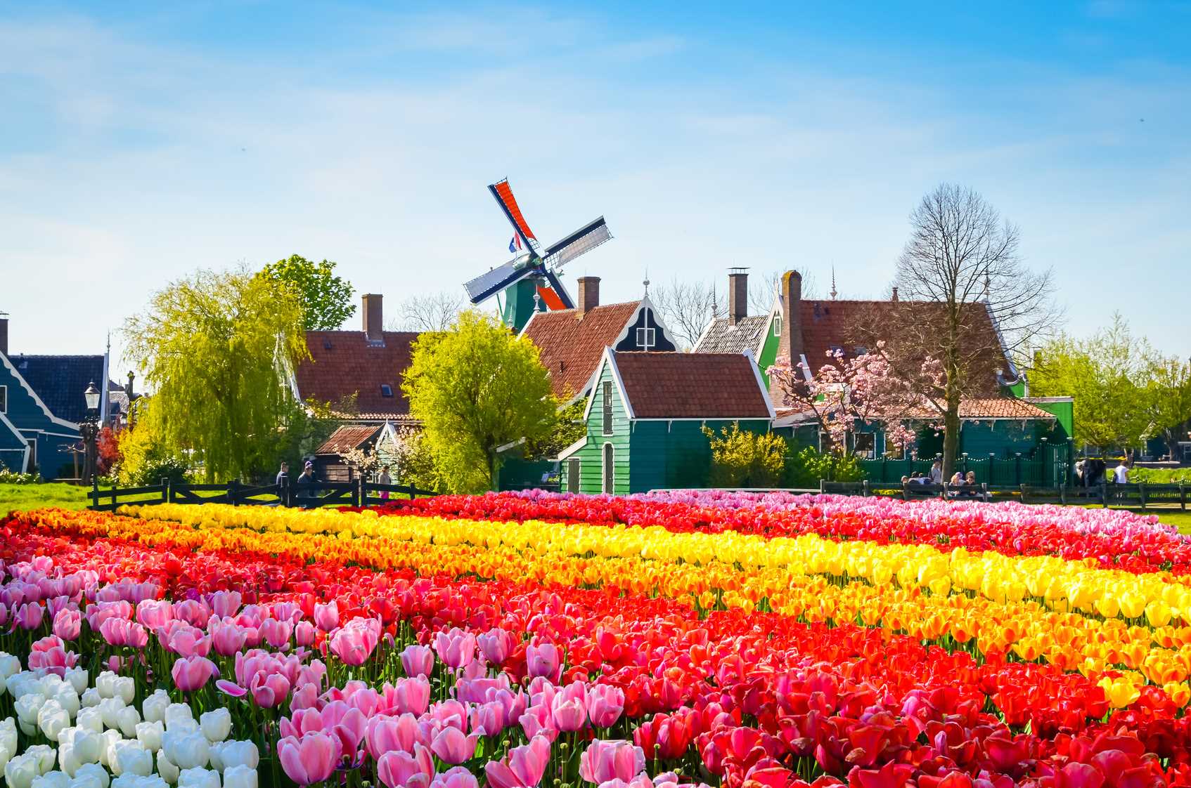 Lễ hội hoa lớn nhất Hà Lan - Keukenhof diễn ra vào 24/3 - 15/5/2022